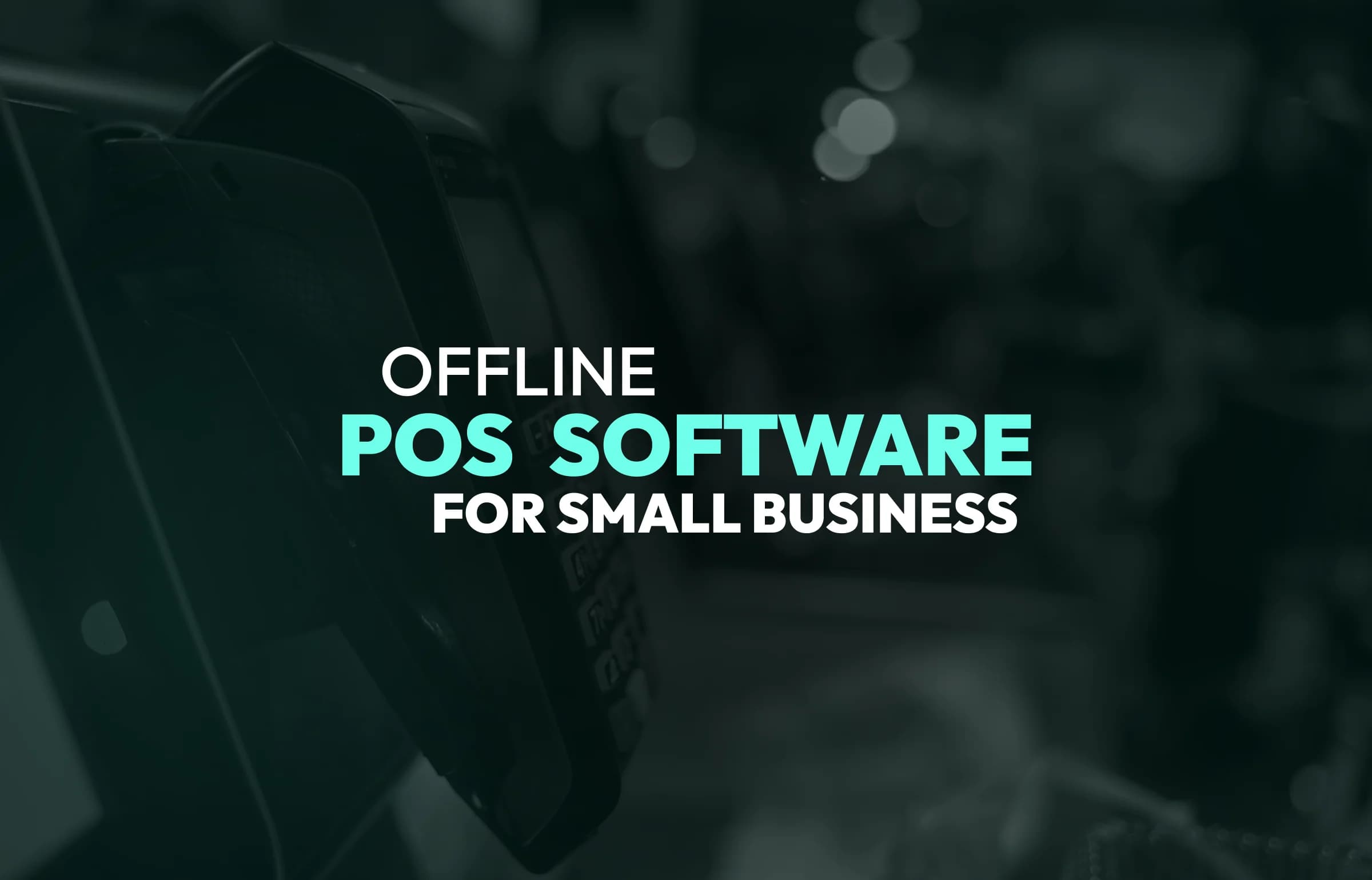 Offline POS Software